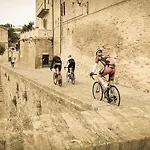Gabbiano