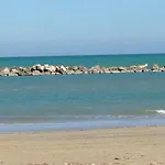Gabbiano Porto San Giorgio