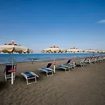 Gabbiano Porto San Giorgio
