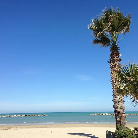 Gabbiano 3* Porto San Giorgio