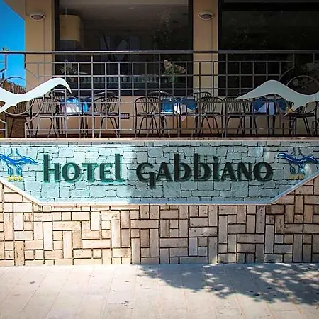 Gabbiano Porto San Giorgio
