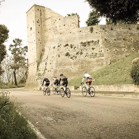 Gabbiano 3* Porto San Giorgio