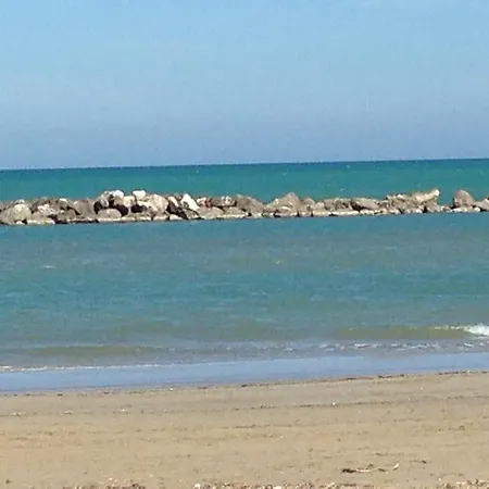 Gabbiano Porto San Giorgio