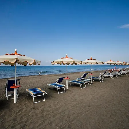 Gabbiano Porto San Giorgio