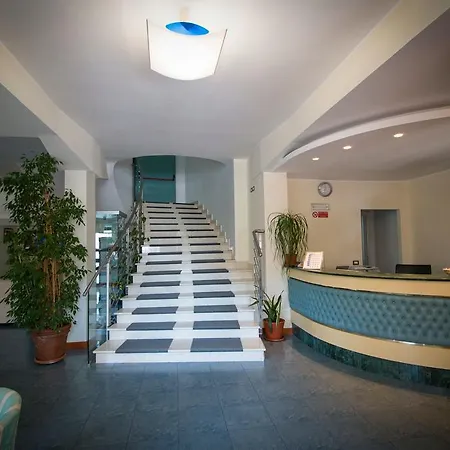 Gabbiano Porto San Giorgio