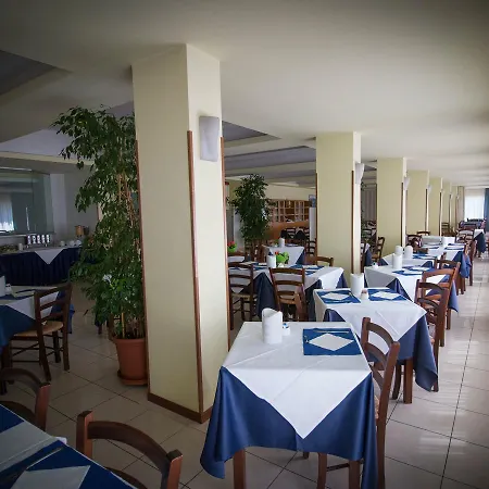 Gabbiano Porto San Giorgio