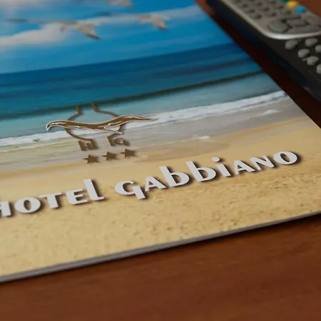 Hotel Gabbiano 3*